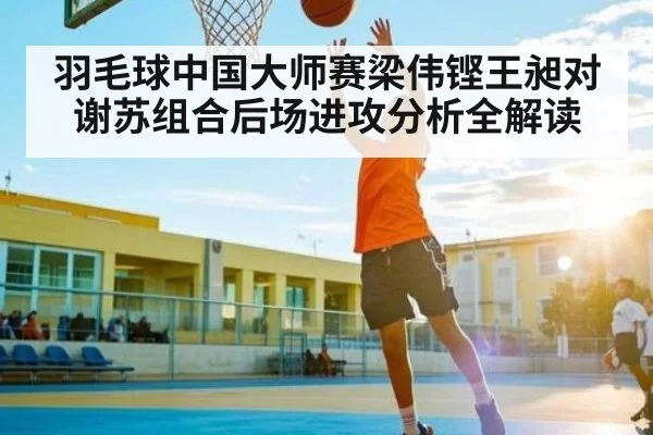 羽毛球中国大师赛梁伟铿王昶对谢苏组合后场进攻分析全解读