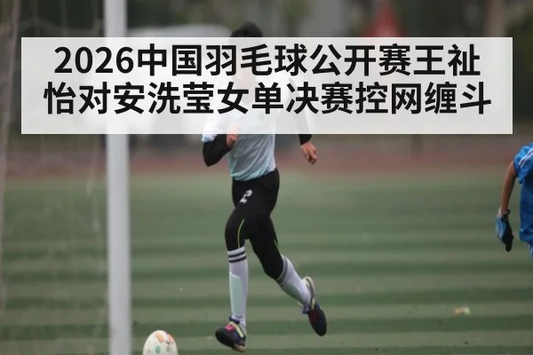 2026中国羽毛球公开赛王祉怡对安洗莹女单决赛控网缠斗